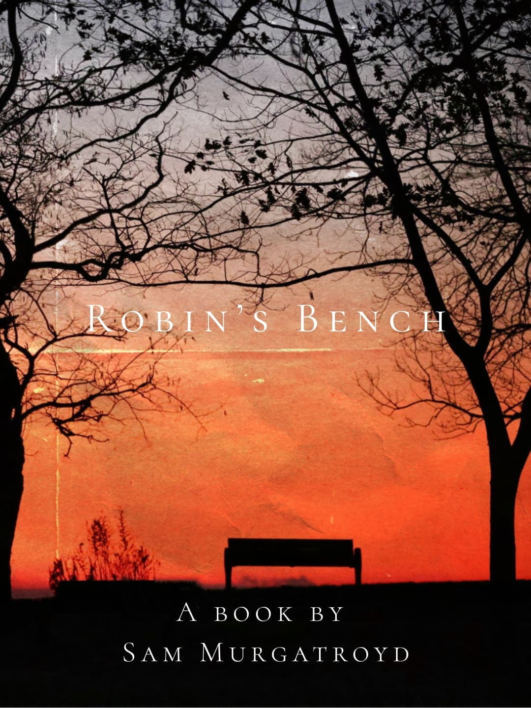 Robin's Bench book cover